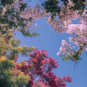 دانلود آهنگ جان و جهان علیرضا قربانی